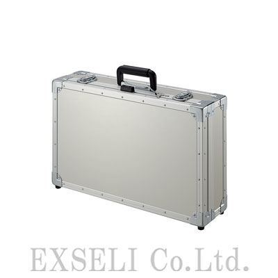 EBX-P4A