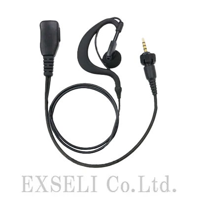 EX-M31