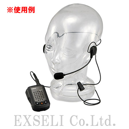DLS-01