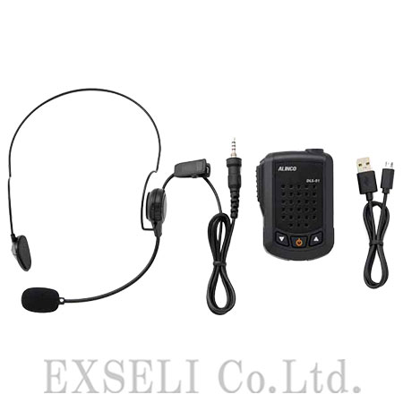DLS-01